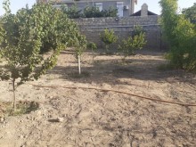 Satılır Həyət evi, Sabunçu.r, Albalı-2