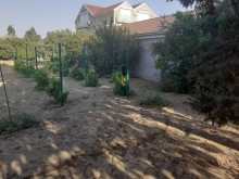Satılır Həyət evi, Sabunçu.r, Albalı-3