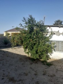 Satılır Həyət evi, Sabunçu.r, Albalı-4