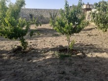 Satılır Həyət evi, Sabunçu.r, Albalı-7
