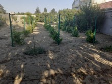 Satılır Həyət evi, Sabunçu.r, Albalı-8