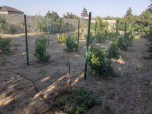 Satılır Həyət evi, Sabunçu.r, Albalı-12