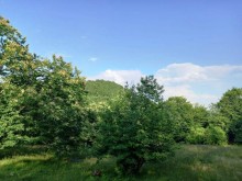 Satılır Torpaq, Qəbələ.ş-13
