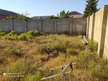 şüvəlanda torpaq alqı satqısı, -4