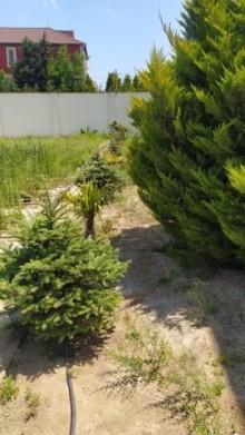 Satılır Həyət evi, Xəzər.r, Şüvəlan, Koroğlu.m-8