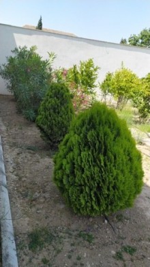 Satılır Həyət evi, Xəzər.r, Şüvəlan, Koroğlu.m-12