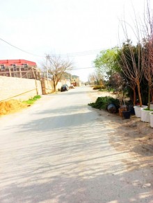 Satılır Həyət evi, Xəzər.r, Binə-14