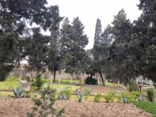 Satılır Torpaq, Xəzər.r, Mərdəkan, Koroğlu.m-14