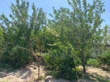 Satılır Torpaq, Xəzər.r, Şağan, Koroğlu.m-7