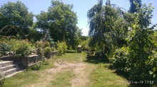 Satılır Həyət evi, Qəbələ.ş-2