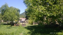 Satılır Həyət evi, Qəbələ.ş-5