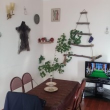 Satılır Həyət evi, Qəbələ.ş-8