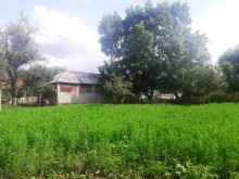 Satılır Torpaq, Qəbələ.ş-8