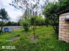 Satılır Həyət evi, Qəbələ.ş-2