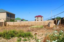 Satılır Torpaq, Abşeron.r, Saray-4