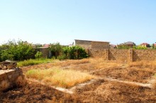 Satılır Torpaq, Abşeron.r, Saray-14