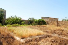 Satılır Torpaq, Abşeron.r, Saray-16