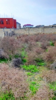 Satılır Torpaq, Səbail.r, Badamdar-4