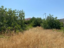 Satılır Torpaq, Xəzər.r, Mərdəkan, Koroğlu.m-1