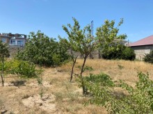 Satılır Torpaq, Xəzər.r, Mərdəkan, Koroğlu.m-4