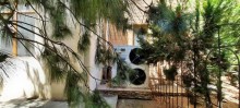 Satılır Həyət evi, Yasamal.r-13