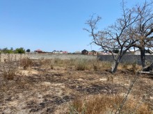 Satılır Torpaq, Xəzər.r, Şüvəlan, Koroğlu.m-6