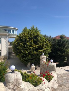 Kirayə (Aylıq) Həyət evi, Sabunçu.r, Bilgəh-4