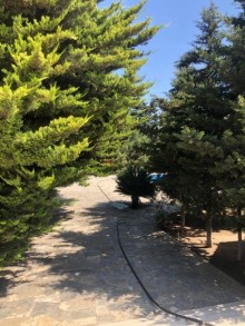 Kirayə (Aylıq) Həyət evi, Sabunçu.r, Bilgəh-8