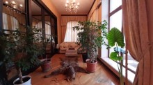 bilgehde baglar, -12