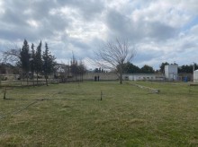 Satılır Torpaq, Xəzər.r, Mərdəkan, Koroğlu.m-6