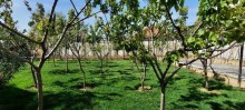 merdekanda heyet evleri, -16