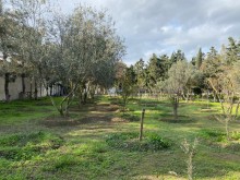 Satılır Torpaq, Xəzər.r, Şüvəlan, Koroğlu.m-9