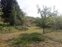 Satılır Torpaq, Qəbələ.ş-5