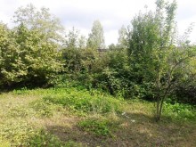 Satılır Torpaq, Qəbələ.ş-17