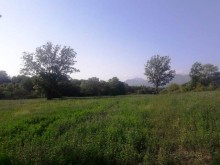 Satılır Torpaq, Qəbələ.ş-4