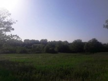 Satılır Torpaq, Qəbələ.ş-9