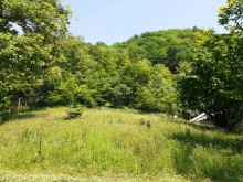Satılır Torpaq, Qəbələ.ş-3
