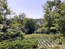 Satılır Torpaq, Qəbələ.ş-9