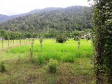 Satılır Torpaq, Qəbələ.ş-7
