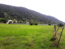 Satılır Torpaq, Qəbələ.ş-8