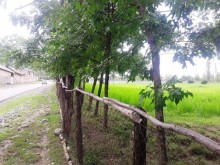 Satılır Torpaq, Qəbələ.ş-13