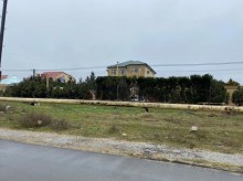 Satılır Torpaq, Xəzər.r, Şüvəlan, Koroğlu.m-8