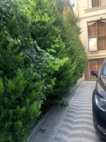 Satılır Həyət evi, Sabunçu.r, Bakıxanov-17