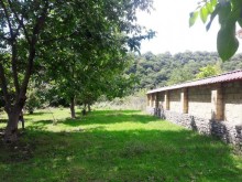 Satılır Torpaq, Qəbələ.ş-6