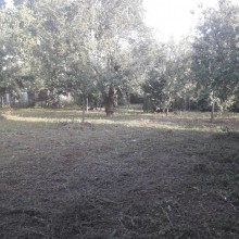 Satılır Torpaq, Qəbələ.ş-1