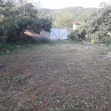 Satılır Torpaq, Qəbələ.ş-2