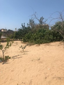 Satılır Torpaq, Xəzər.r, Mərdəkan, Koroğlu.m-9