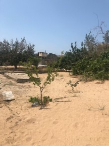 Satılır Torpaq, Xəzər.r, Mərdəkan, Koroğlu.m-10