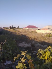 Satılır Torpaq, Sabunçu.r, Albalı, Koroğlu.m-1