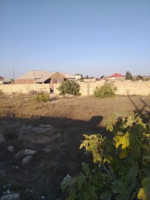 Satılır Torpaq, Sabunçu.r, Albalı, Koroğlu.m-3